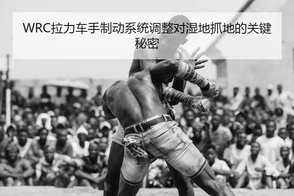la-li-che-shou-zhi-dong-xi-tong-tiao-zheng-dui-shi-di-zhua-di-de-guan-jian-mi-mi-2-424.jpg